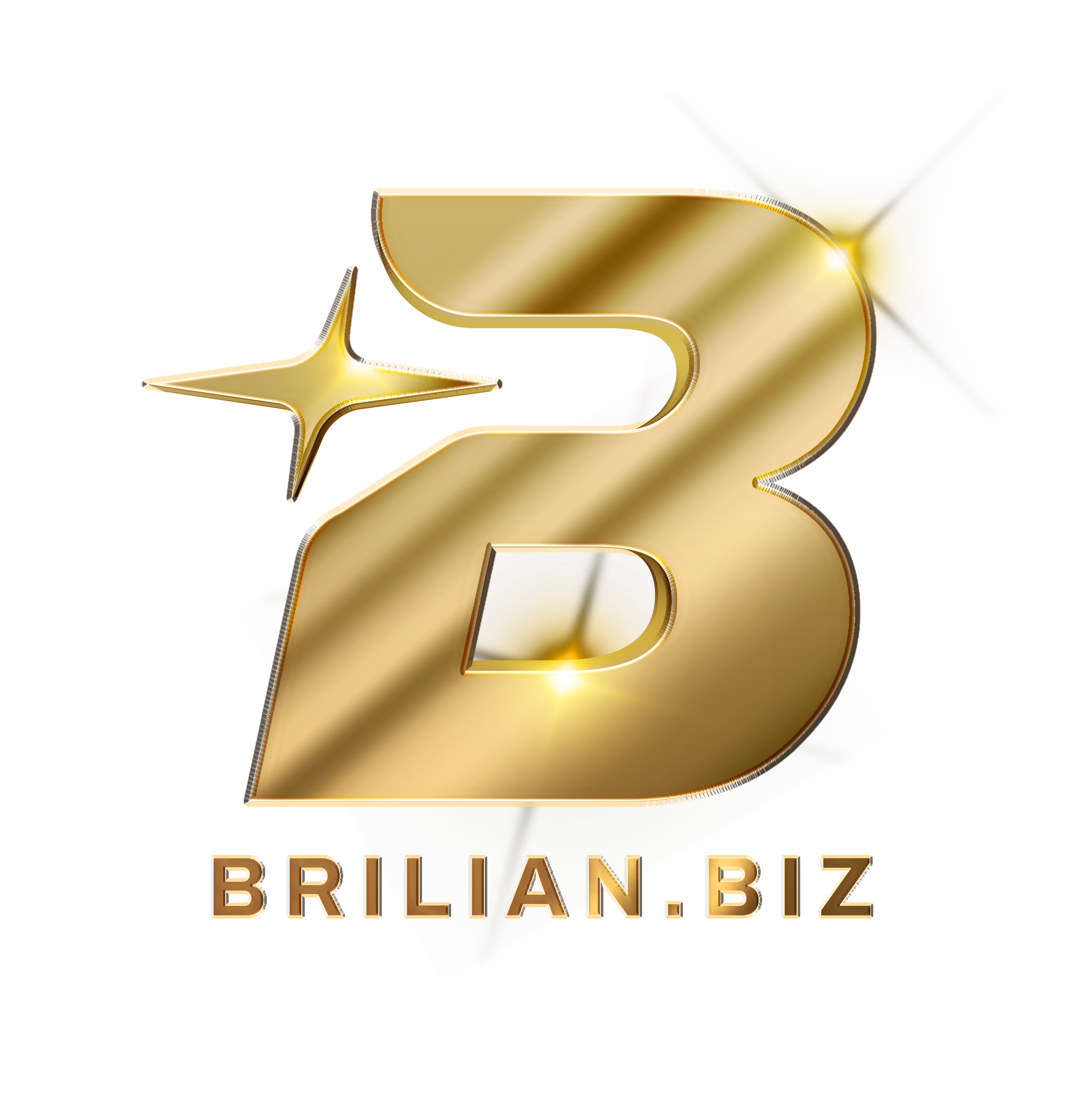 brilion-pos